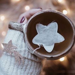 5 Earl Grey Tea Bags - Golden Star