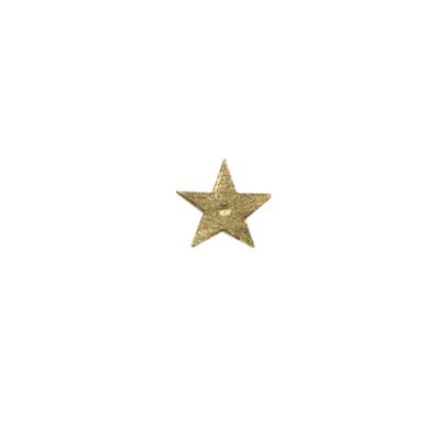 Golden brass star nail - 2,5cm