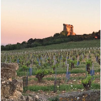 Famous Chateaunauef du Pape wines