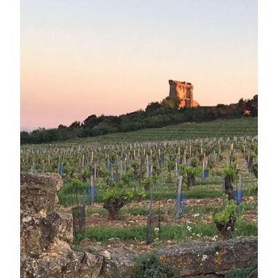 Chateauneuf du Pape in Provence