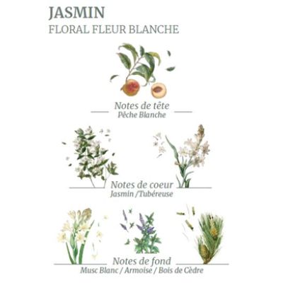 Precious Jasmine Soap - Basket of the Senses