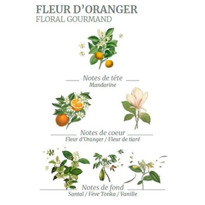 The leaves and flowers of the Bitter Orange tree exude this sweet and floral scent in Provence!