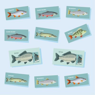 memory game - fish from the lakes and rivers of France