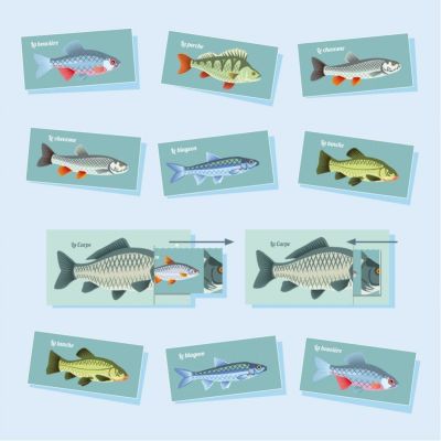 memory game - memorize and win the fishing trip!