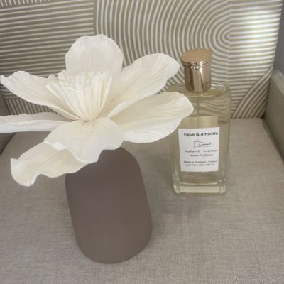 Room fragrance diffuser box by capillarity