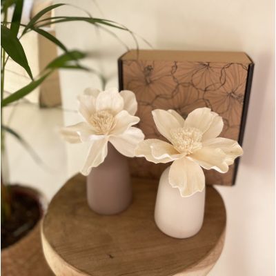 Room fragrance diffuser box by capillarity