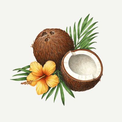 Active ingredient: coconut oil